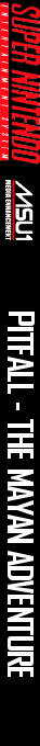 Pitfall : The Mayan Adventure — box-2D-side (US)
