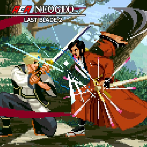 Aca Neogeo The Last Blade 2 — support-texture (CUS)
