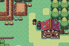 Pokemon : Crown — ss (WOR)