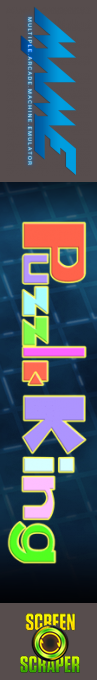 Puzzle King — box-2D-side (SS)
