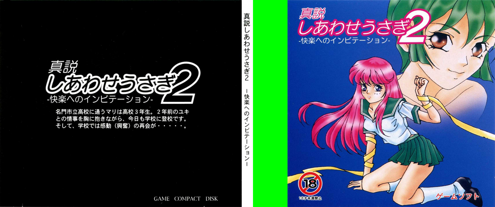 Shinsetsu Shiawase Usagi 2 - Kairaku E No Invitation — box-texture (JP)