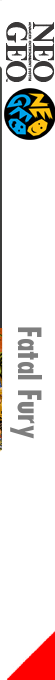 Fatal Fury — box-2D-side (FR)