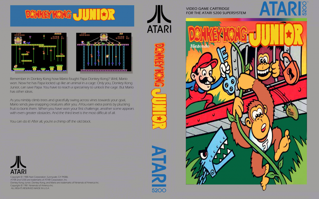 Donkey Kong Jr — box-texture (WOR)