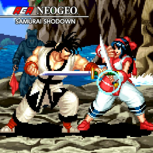 Aca Neogeo Samurai Shodown — support-texture (CUS)