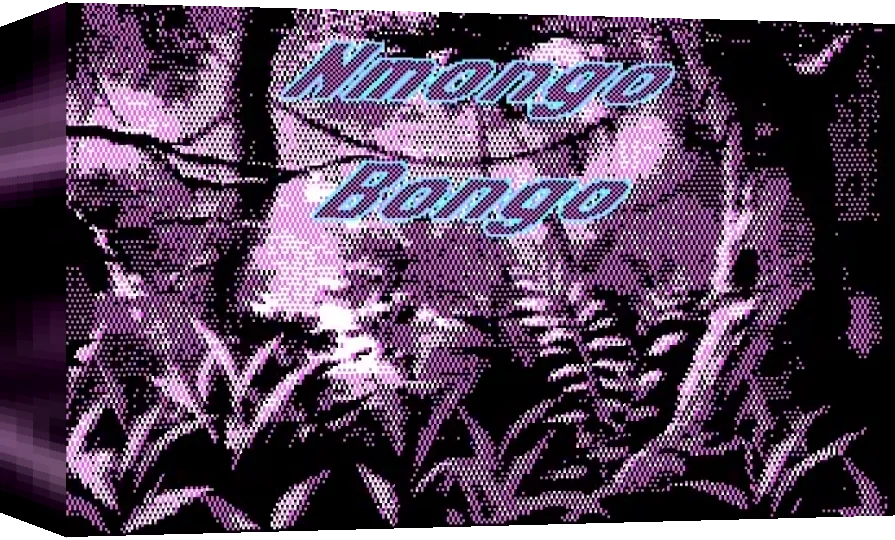 Nmongo Bongo — box-3D (WOR)