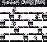 Duck Adventures — ss (WOR)
