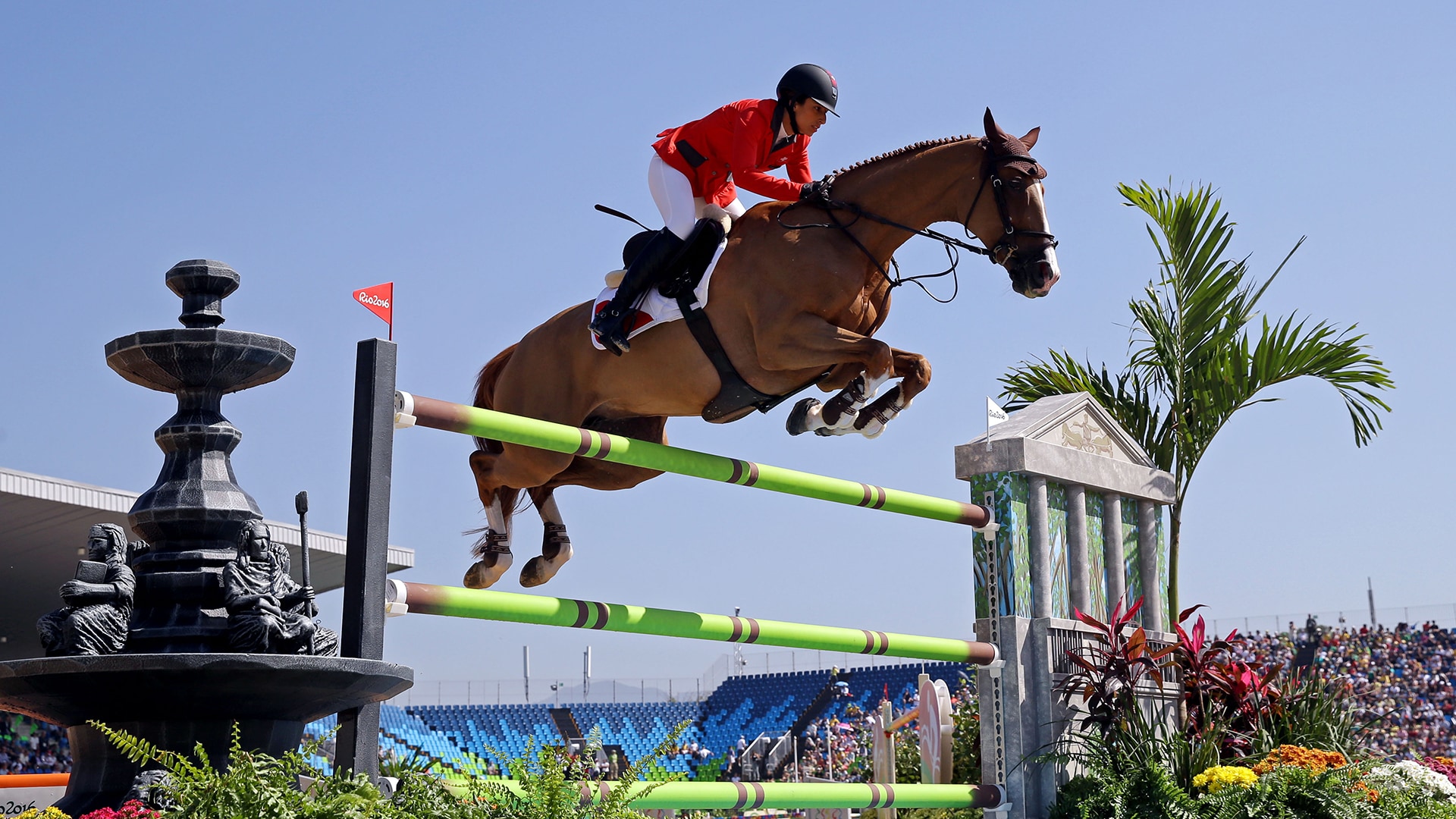 Harvey Smith Showjumper — fanart
