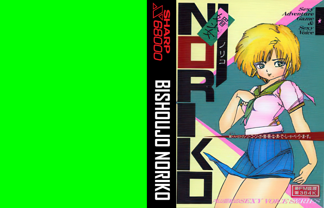 Bishoujo Noriko — box-texture (JP)