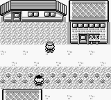 Pokémon : Yellow Legacy — ss (WOR)