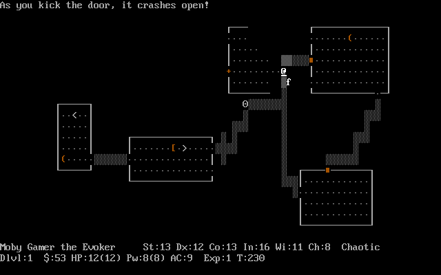 NetHack — ss (WOR)