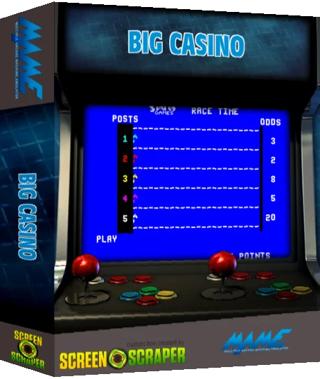 Big Casino — box-3D (SS)