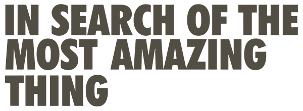 In Search Of The Most Amazing Thing — wheel (US)
