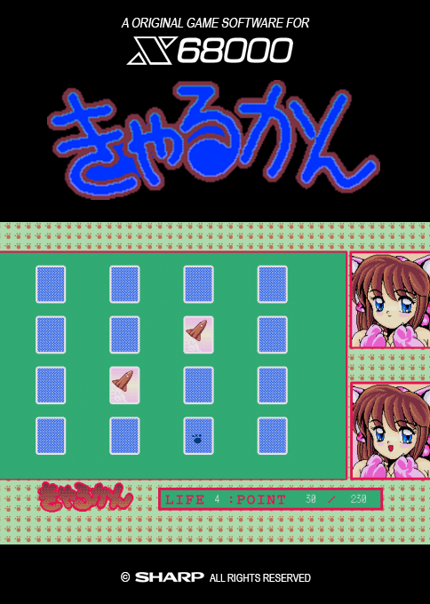 Kyarukan box art