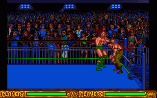 Top Wrestling — ss (WOR)