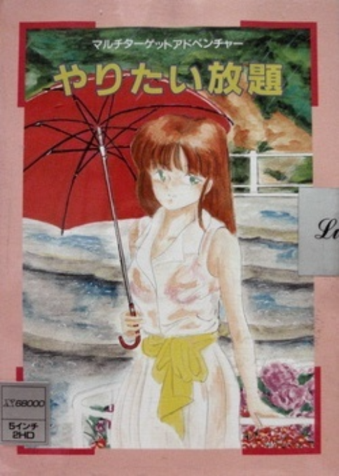 Yaritai Houdai box art