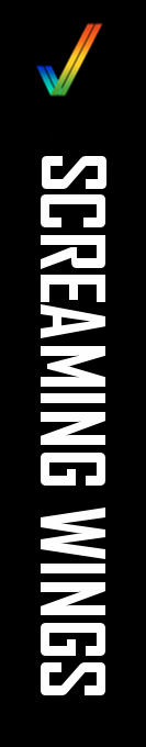 Screaming Wings — box-2D-side (CUS)