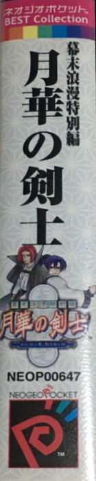 Last Blade, The - Beyond the Destiny — box-2D-side (JP)