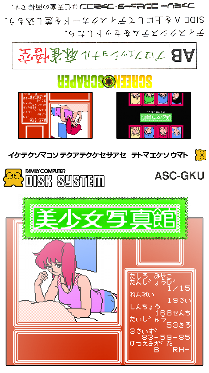Bishoujo Shashinkan - Studio Cut — box-texture (SS)