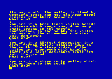 Colossal Adventure — ss (EU)