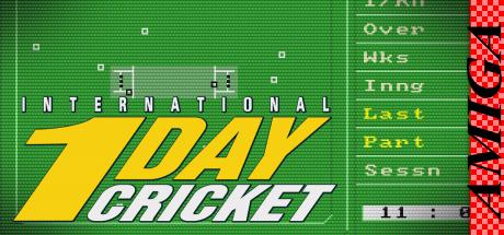 International One Day Cricket — steamgrid