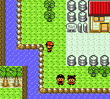 Pokemon : Gold 97 — ss (WOR)