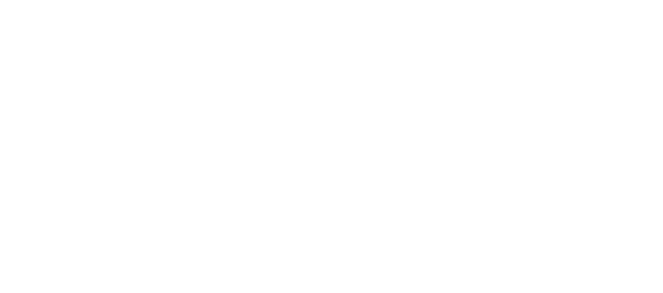 Chameleon Run Deluxe Edition — wheel-hd (WOR)