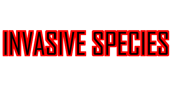 Invasive Species — wheel-hd (SS)