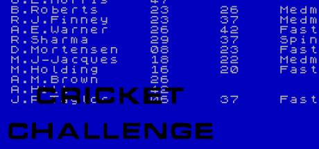 Cricket Challenge — steamgrid