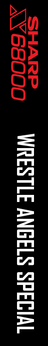 Wrestle Angels Special — box-2D-side (SS)