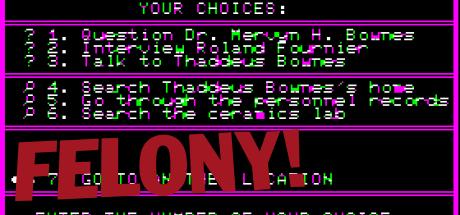 Mystery Master - Felony! — steamgrid