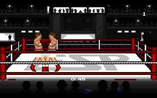Boxing Masters — ss (WOR)