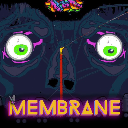 Membrane — support-texture (CUS)