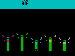 Buzzy Bee — ss (WOR)