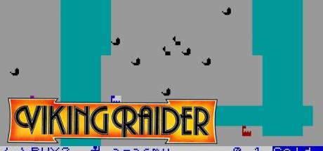 Viking Raiders — steamgrid