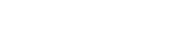 Memory I - Flag Capture — wheel (EU)