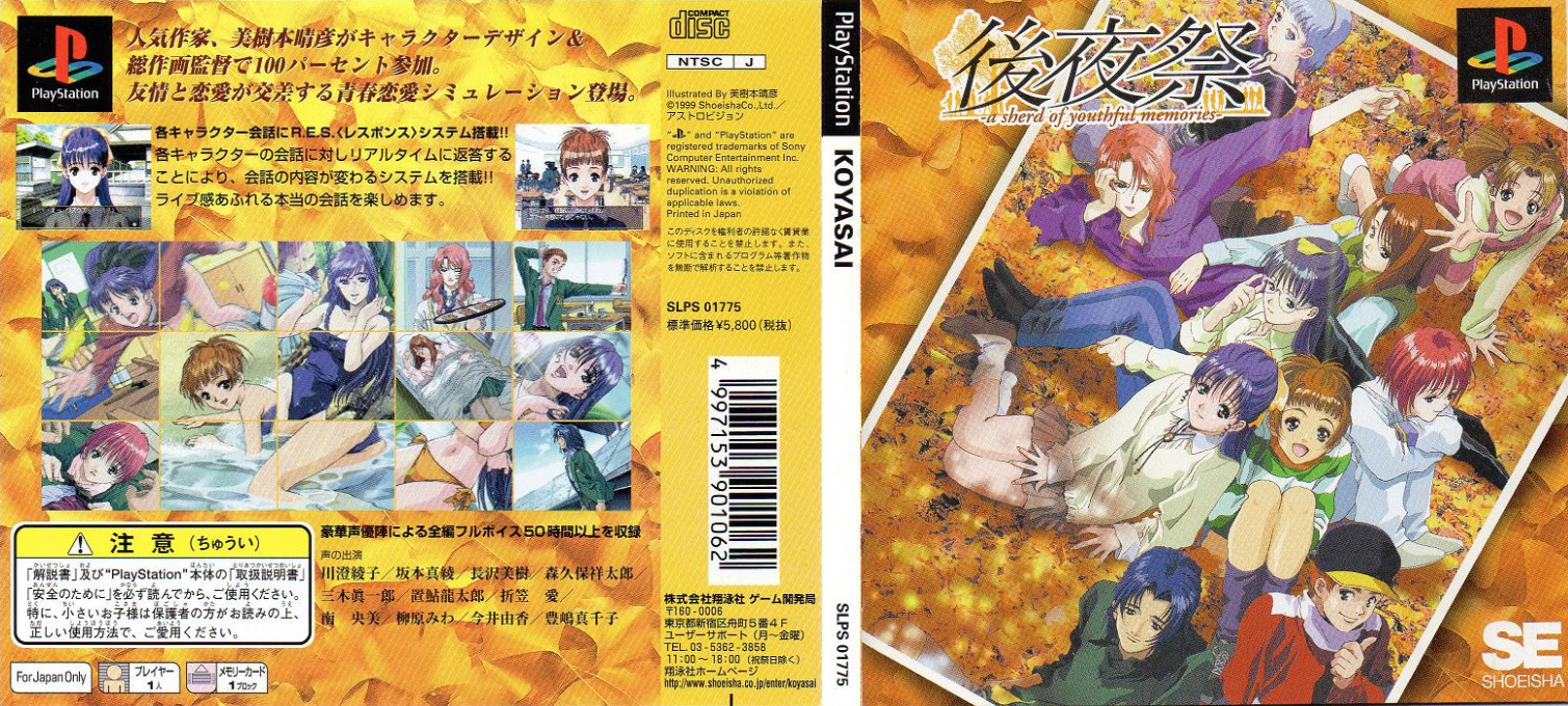 Koyasai - A Sherd Of Youthful Memories — box-texture (JP)