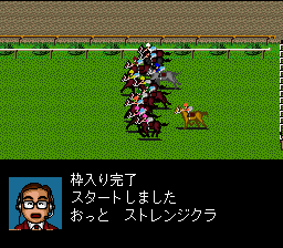 Derby Stallion 2 — ss (JP)
