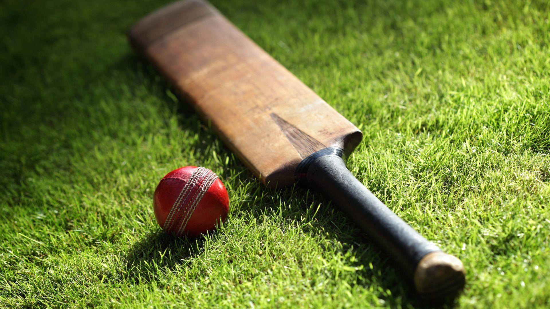 Allan Border's Cricket — fanart
