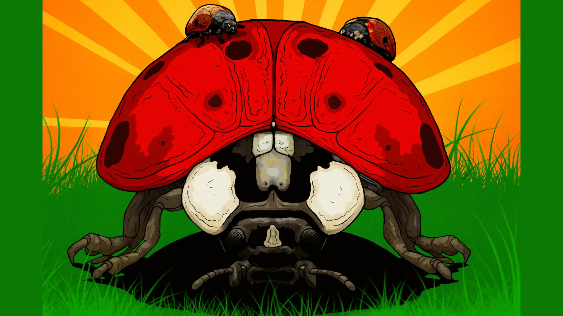 Ladybird — fanart