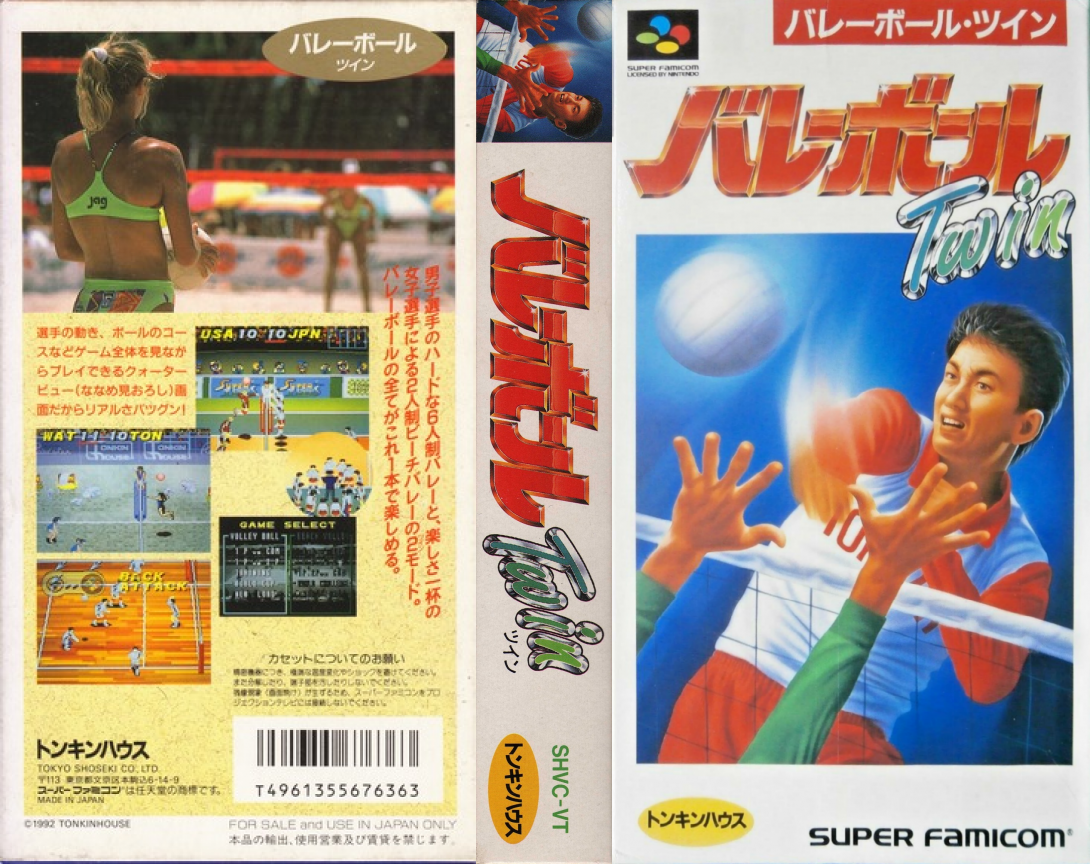Dig And Spike Volleyball — box-texture (JP)
