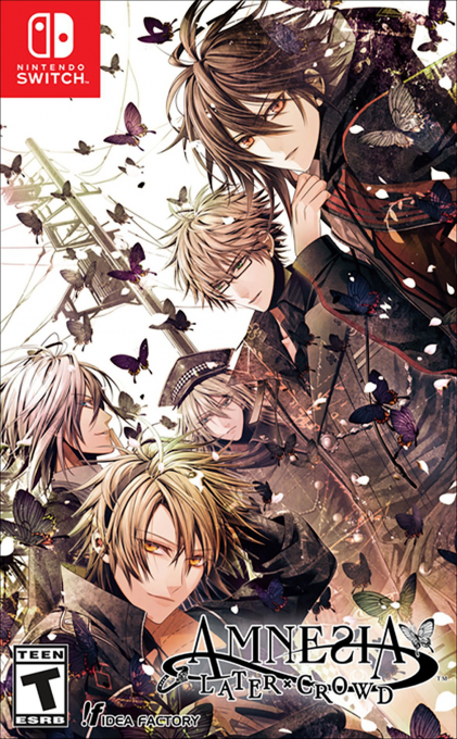 Amnesia - Later x Crowd box art