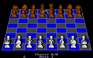 Chessnut — ss (WOR)