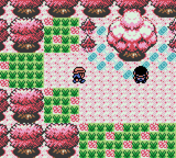 Pokemon Coral — ss (WOR)