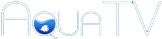 Aqua TV — wheel (WOR)