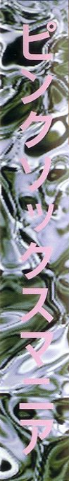 Pink Sox Mania — box-2D-side (JP)