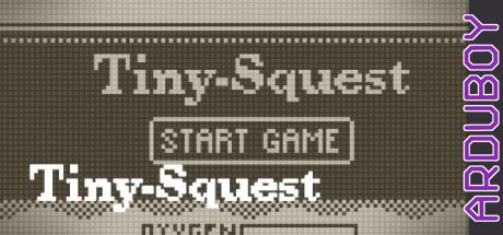 Tiny-SQuest — steamgrid