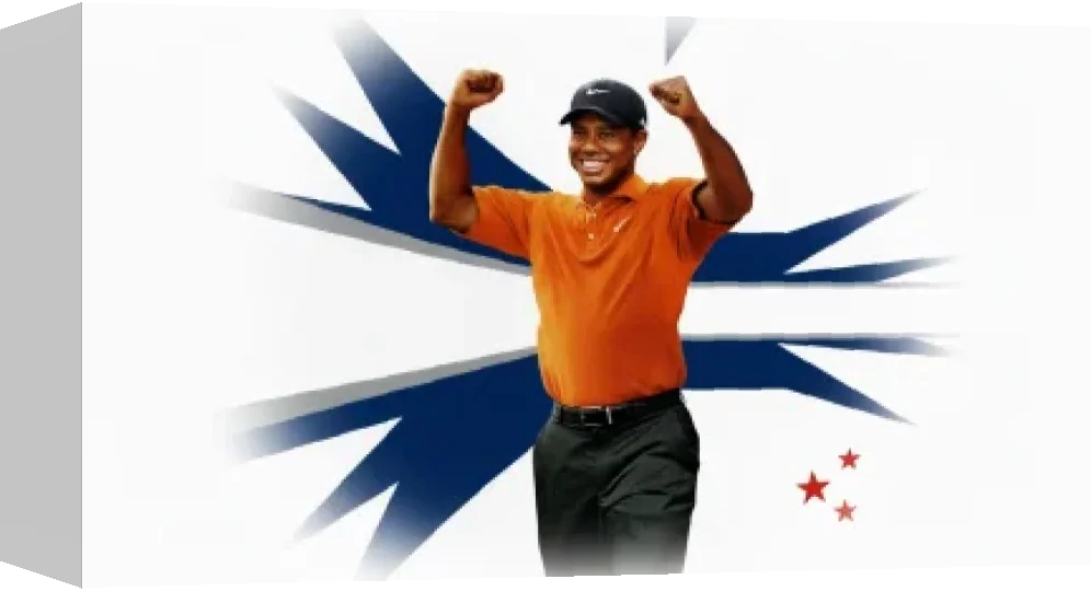 Tiger Woods PGA Tour 09 — box-3D (WOR)