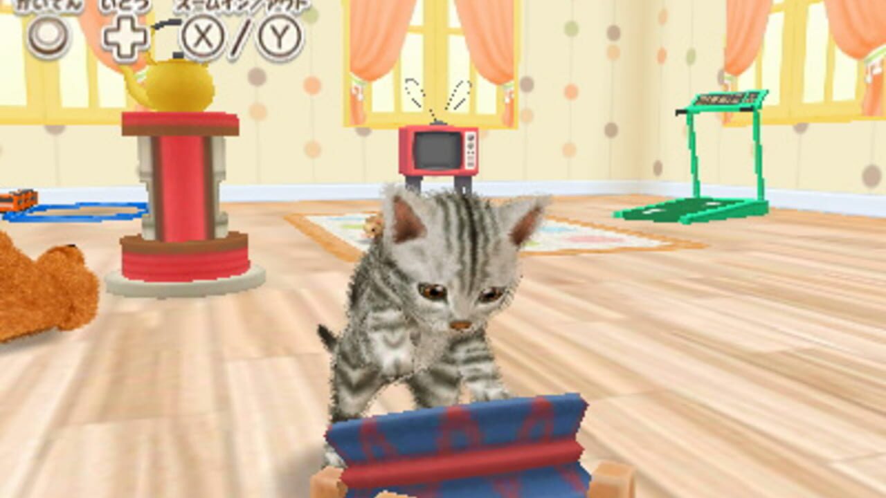 Kawaii Pet to Kurasou! Wan Nyan & Idol Animal — screenshot (WOR)