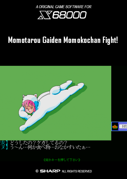 Momotarou Gaiden Momokochan Fight! box art