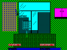 Fly Swatter — ss (WOR)